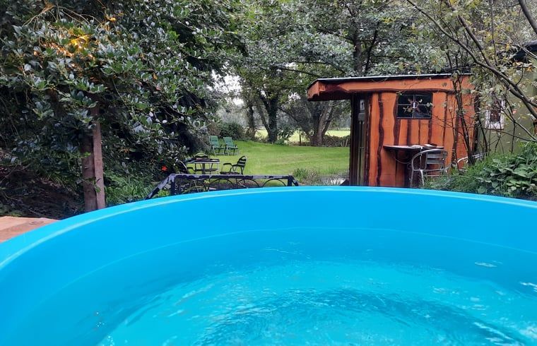Entspannen Sie sich im Garten des Ferienhauses in Harfsen, Gelderland, mit Jacuzzi und rustikaler Umgebung in der Region Achterhoek.