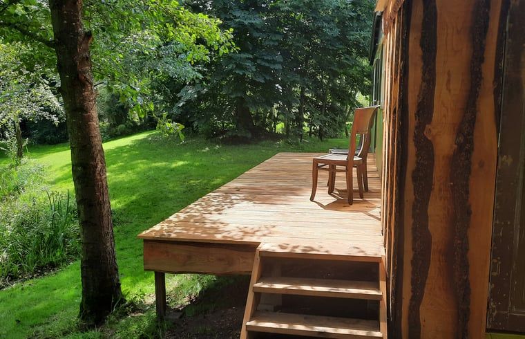 Unterkunft 292315 - Ferienhaus Achterhoek - Vakantiehuis in Harfsen