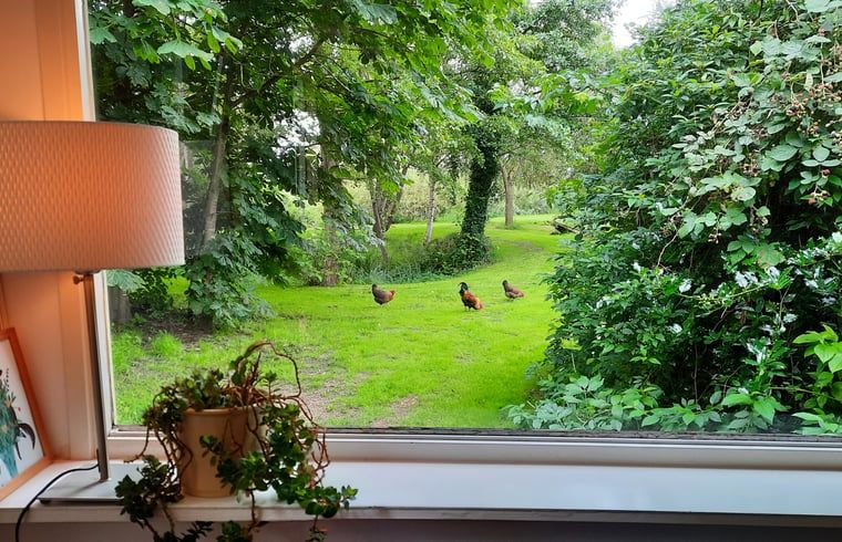 Unterkunft 292315 - Ferienhaus Achterhoek - Vakantiehuis in Harfsen