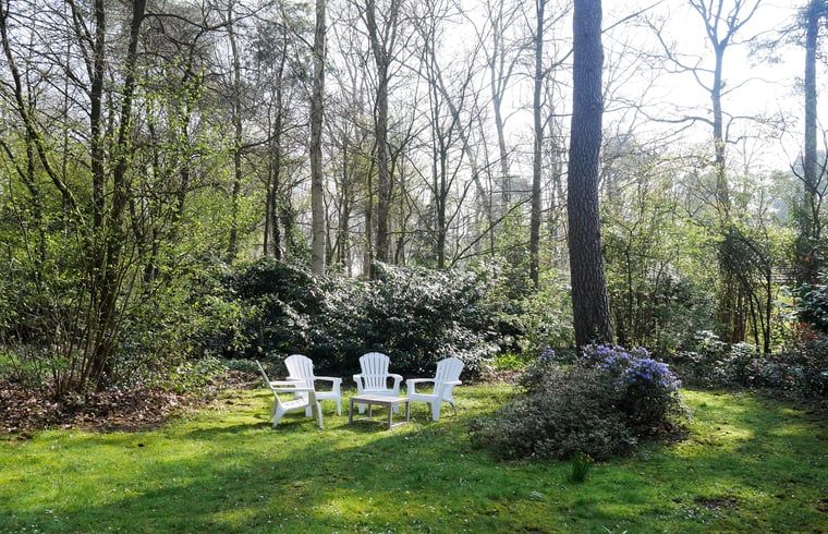Ontspan in de serene tuin van Huisje in Harfsen, een vakantiehuis in de groene Achterhoek, Gelderland, omringd door natuur.