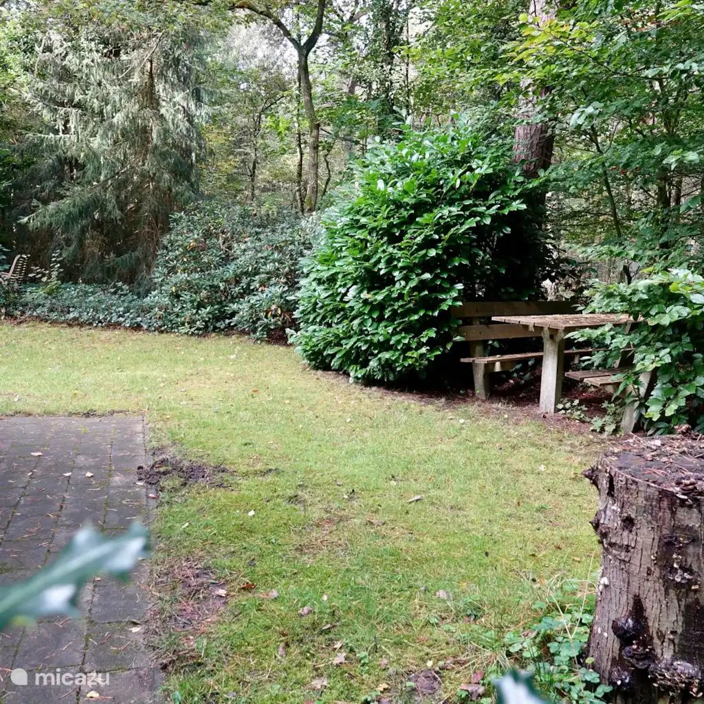 Guest house 292324 - Bungalow Achterhoek - Relaxen in het bos aan de hei - 152