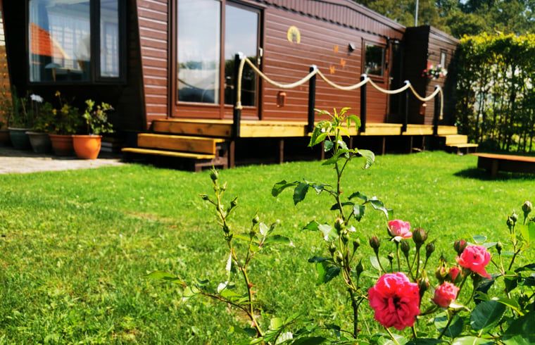 Unterkunft 292332 - Ferienhaus Achterhoek - Vakantiehuis in Harfsen