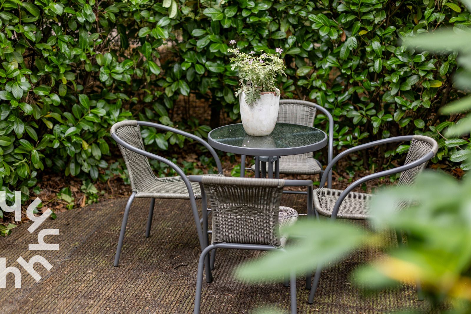 Guest house 292335 - Holiday property Achterhoek - DG1709