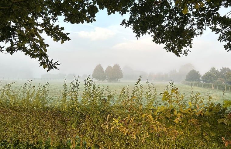 Verblijf 292336 - Vakantiewoning Achterhoek - Vakantiehuis in Harfsen