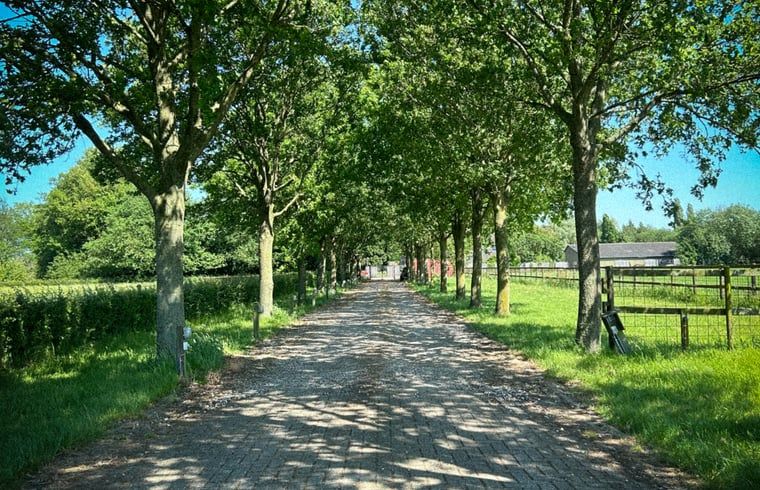 Verblijf 292336 - Vakantiewoning Achterhoek - Vakantiehuis in Harfsen