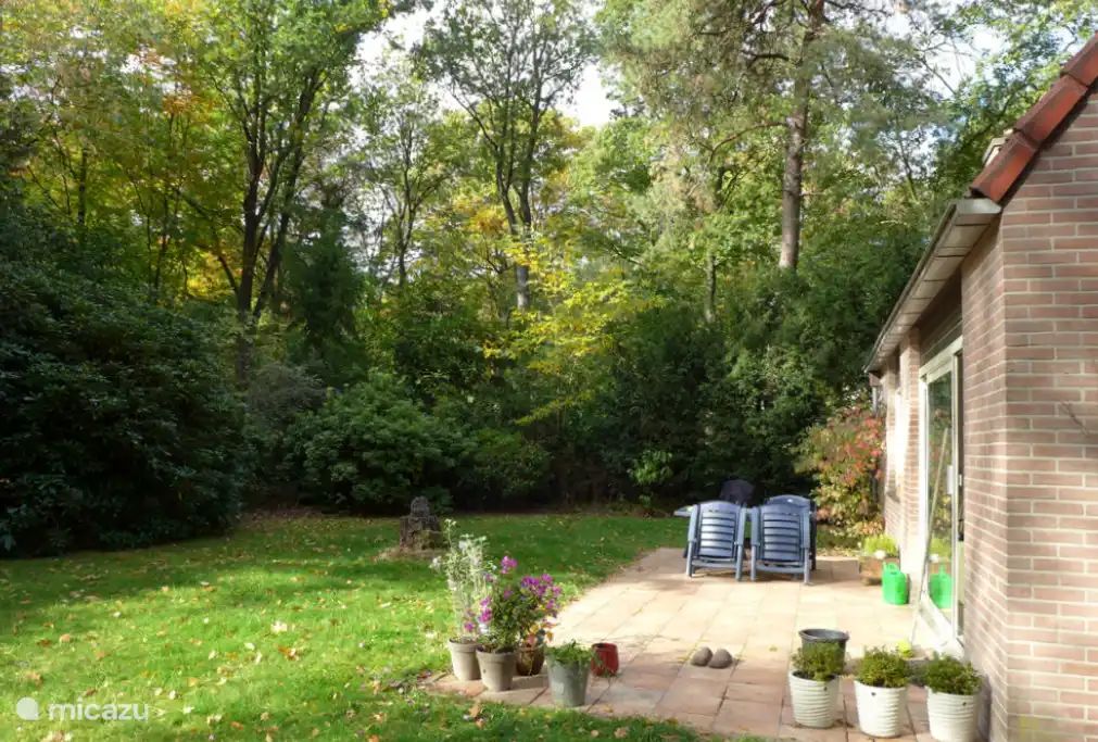 Verblijf 292340 - Bungalow Achterhoek - Echt ontspannen in het bos - 142