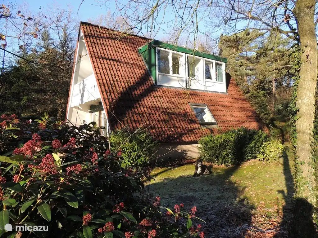 Guest house 292345 - Holiday property Achterhoek - Bungalow Motief