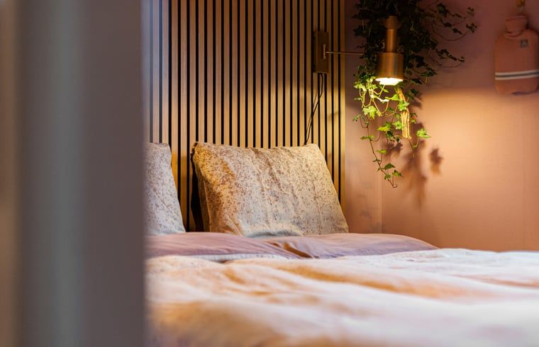 Guest house 292905 - Holiday property Achterhoek - Vakantiehuisje in Hummelo