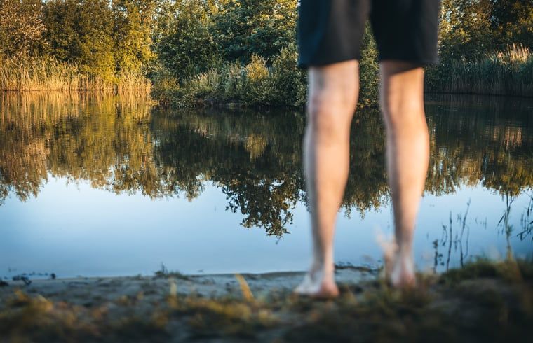 Guest house 293111 - Holiday property Achterhoek - Vakantiehuis in Haarlo