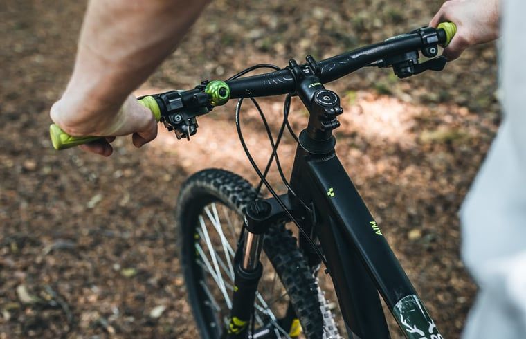 Guest house 293111 - Holiday property Achterhoek - Vakantiehuis in Haarlo