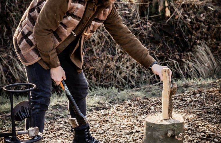 Guest house 293111 - Holiday property Achterhoek - Vakantiehuis in Haarlo