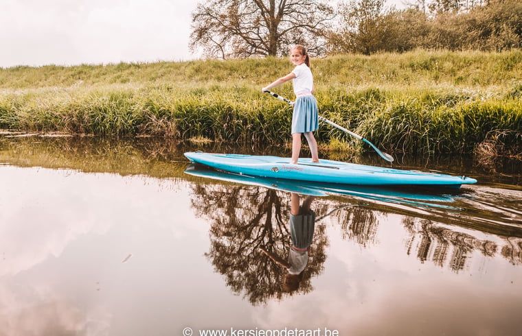 Guest house 293111 - Holiday property Achterhoek - Vakantiehuis in Haarlo