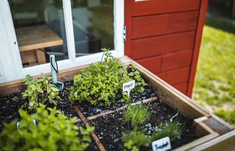 Kruidentuin bij Vakantiehuisje in Haarlo, Achterhoek, Gelderland voor verse ingredienten tijdens je verblijf.