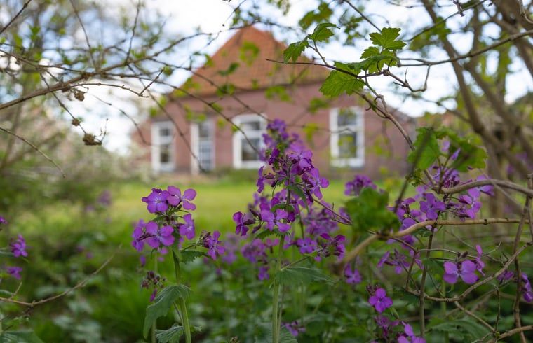 Huisje in Geesteren, vakantiehuis in Achterhoek, Gelderland omringd door bloemen en natuur.