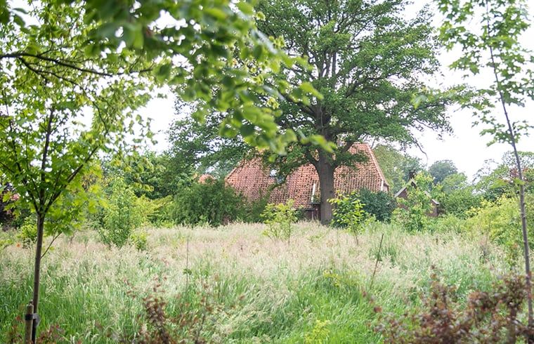 Rustgevende omgeving van Huisje in Geesteren, vakantiehuis in Achterhoek, Gelderland met weelderige bomen.