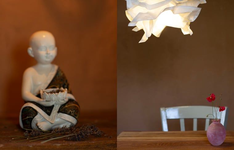 Verblijf 293408 - Vakantiewoning Achterhoek - Huisje in Geesteren