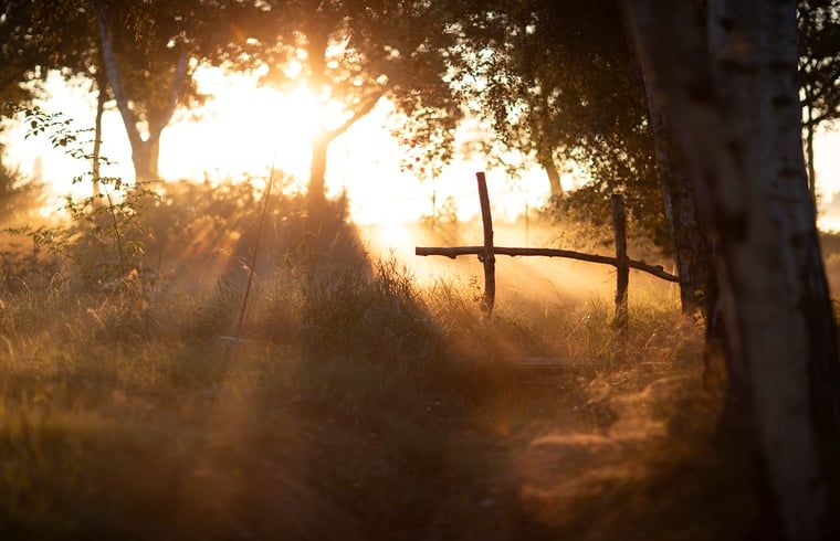 Verblijf 293408 - Vakantiewoning Achterhoek - Huisje in Geesteren