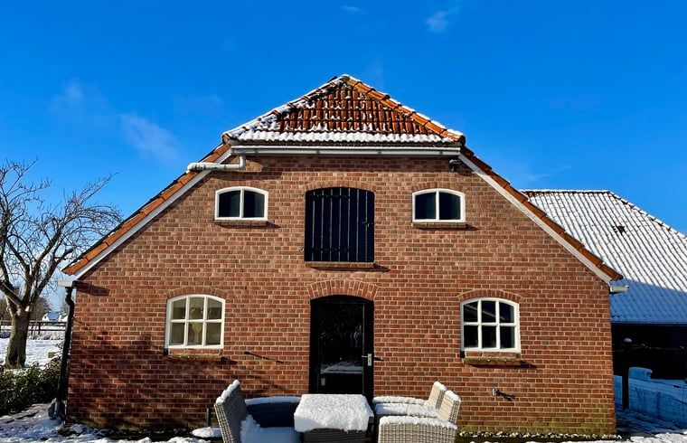 Relax in a vacation home in Geesteren, Achterhoek, with a pool table and cozy reading corner for a cozy vacation in Gelderland.