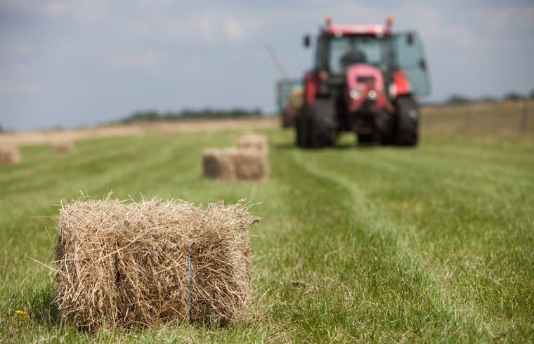 Unterkunft 293415 - Ferienhaus Achterhoek - Huisje in Geesteren