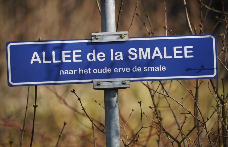 Unterkunft 293415 - Ferienhaus Achterhoek - Huisje in Geesteren