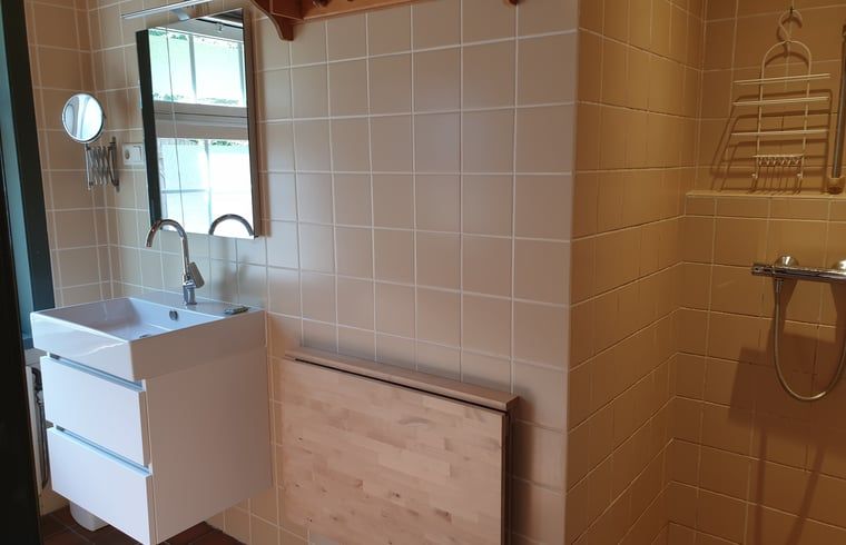 Modern bathroom in Holiday Home in Vorden, Achterhoek, Gelderland with stylish sink and spacious shower.