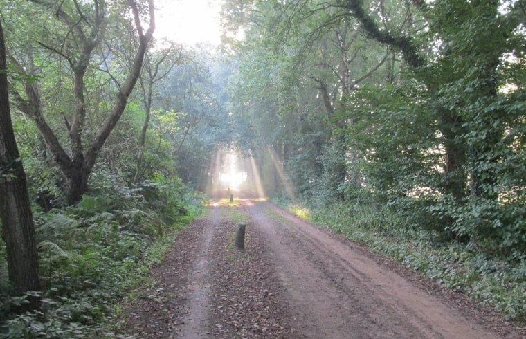 Guest house 293524 - Holiday property Achterhoek - Vakantiehuisje in Vorden