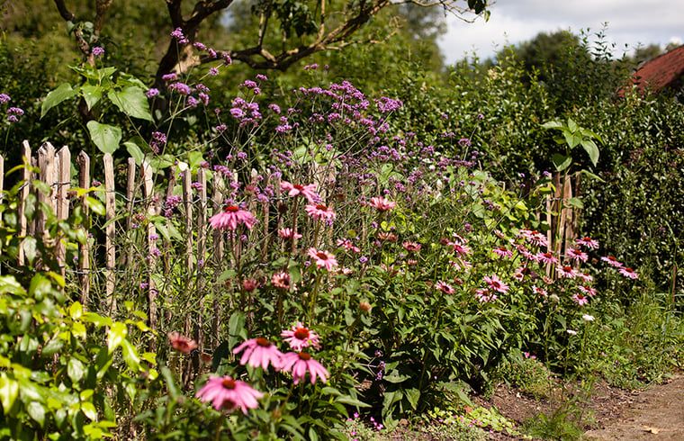 Unterkunft 293554 - Ferienhaus Achterhoek - Vakantiehuisje in Vorden