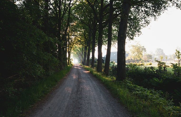 Unterkunft 293554 - Ferienhaus Achterhoek - Vakantiehuisje in Vorden
