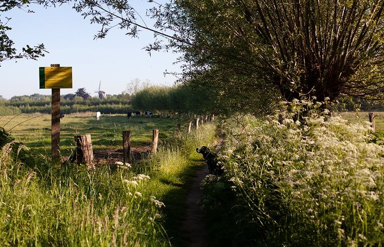 Unterkunft 293554 - Ferienhaus Achterhoek - Vakantiehuisje in Vorden