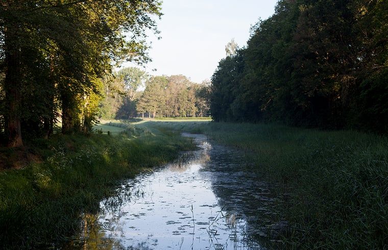 Unterkunft 293554 - Ferienhaus Achterhoek - Vakantiehuisje in Vorden