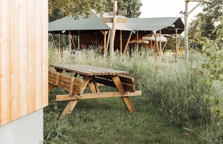 Geniet van de rust bij Huisje in Doetinchem, een vakantiehuis in de Achterhoek met een uitnodigend terras en groene omgeving.