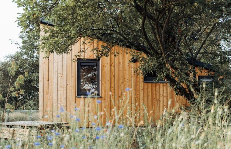 Verblijf 293627 - Vakantiewoning Achterhoek - Huisje in Doetinchem