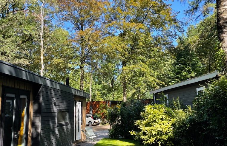 Unterkunft 293825 - Ferienhaus Achterhoek - Huisje in Gorssel