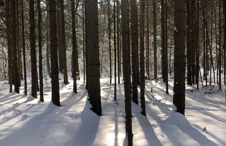 Unterkunft 293825 - Ferienhaus Achterhoek - Huisje in Gorssel
