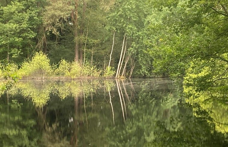 Unterkunft 293825 - Ferienhaus Achterhoek - Huisje in Gorssel