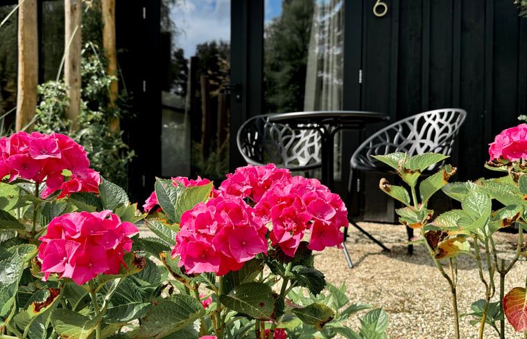 Verblijf 293911 - Vakantiewoning Achterhoek - Vakantiehuis in Twello