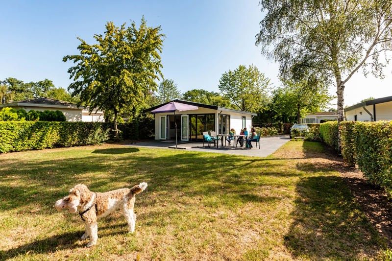 Unterkunft 294751 - Ferienhaus Achterhoek - Landhuis 5 personen MIVA