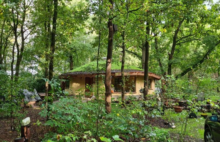 Rustieke vakantiewoning in Neede, Achterhoek, omgeven door dichte bossen in Gelderland.
