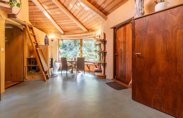 Ruime woonkamer in Vakantiehuis Neede, Achterhoek, met houten plafond en veel natuurlijk licht.