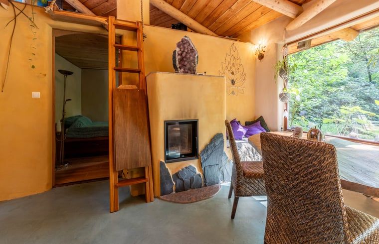 Gezellige hoek in Vakantiehuis in Neede, Achterhoek, met open haard en comfortabele zitplaatsen.
