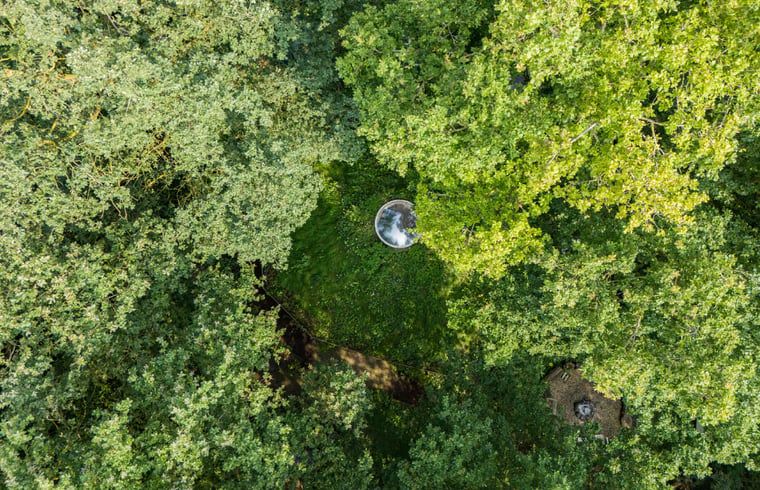 Luchtfoto van Vakantiehuis in Neede, Achterhoek, verscholen in de dichte bossen van Gelderland.
