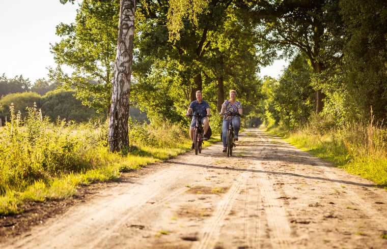 Fietsen in de omgeving van Vakantiehuisje in Neede, Achterhoek, langs groene paden en rustgevende natuur.