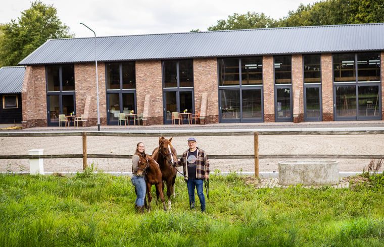 Gastvrijheid bij Vakantiehuisje in Neede, Achterhoek, met paarden en groene omgeving.