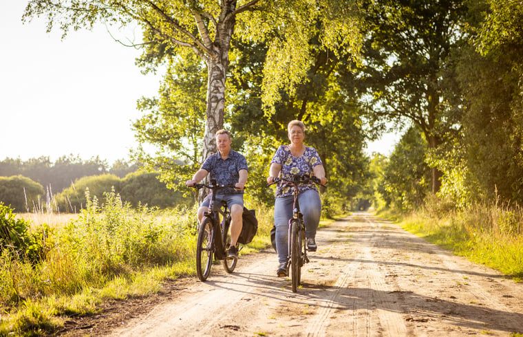 Fietsen in de natuur rondom Vakantiehuisje in Neede, Achterhoek, tijdens zonnige dag.