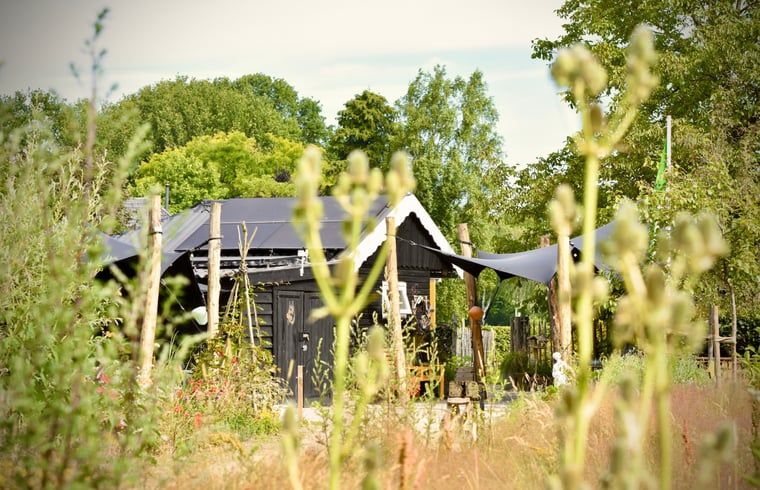 Unterkunft 294834 - Ferienhaus Achterhoek - Vakantiehuisje in Neede