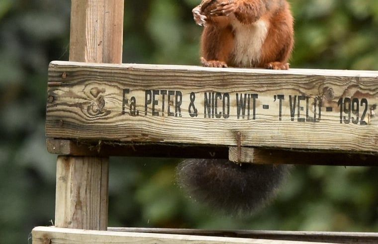 Unterkunft 294834 - Ferienhaus Achterhoek - Vakantiehuisje in Neede