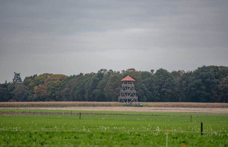 Unterkunft 294834 - Ferienhaus Achterhoek - Vakantiehuisje in Neede