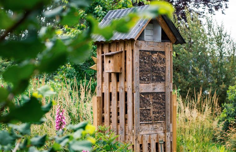 Unterkunft 294834 - Ferienhaus Achterhoek - Vakantiehuisje in Neede