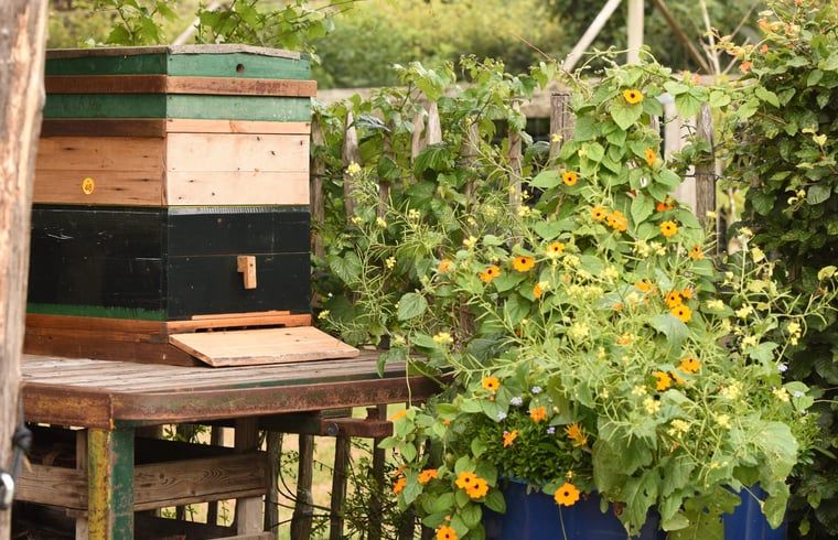 Unterkunft 294834 - Ferienhaus Achterhoek - Vakantiehuisje in Neede