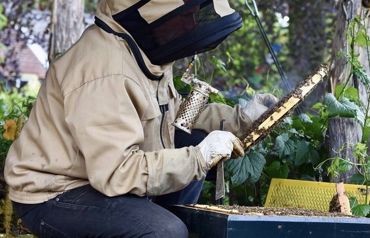 Unterkunft 294834 - Ferienhaus Achterhoek - Vakantiehuisje in Neede